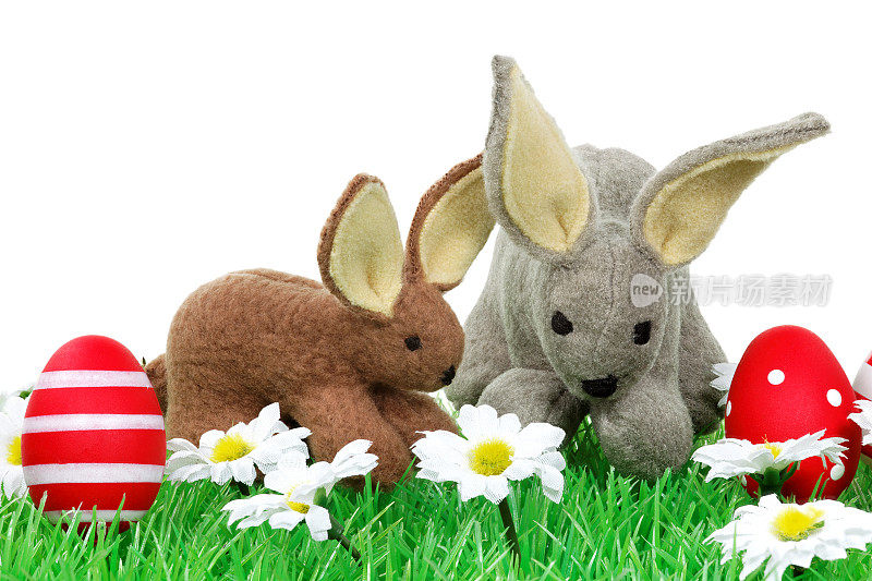 草地上放着彩蛋的复活节兔子