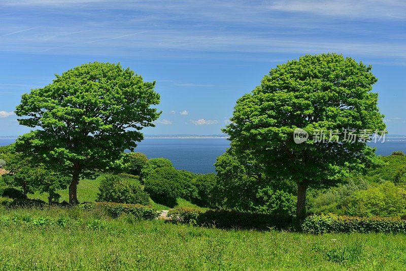 英国泽西岛的乡村景色