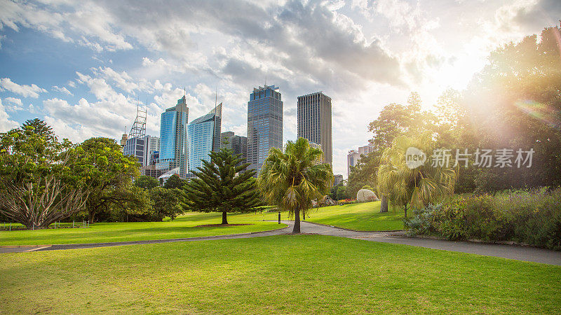 悉尼摩天大楼和植物园