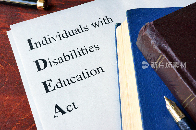 题为《残疾人教育法案》(IDEA)的论文