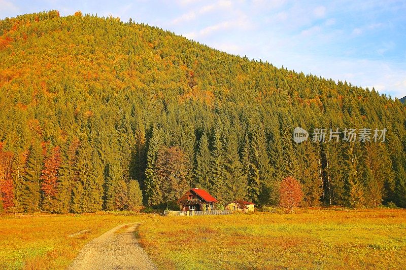 到小屋的乡村道路，奥地利Tirol的阿尔卑斯景观，靠近Karwendel山脉和巴伐利亚阿尔卑斯山在德国-雄伟的高山景观在金色的秋天，戏剧性的蒂罗尔雪山全景和田园式的Tirol草地，奥地利