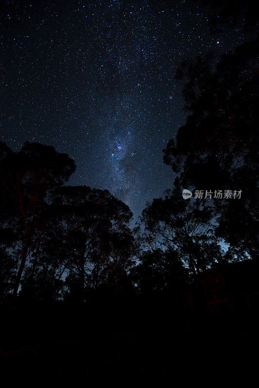 银河的星星在森林空地上的夜空中闪烁