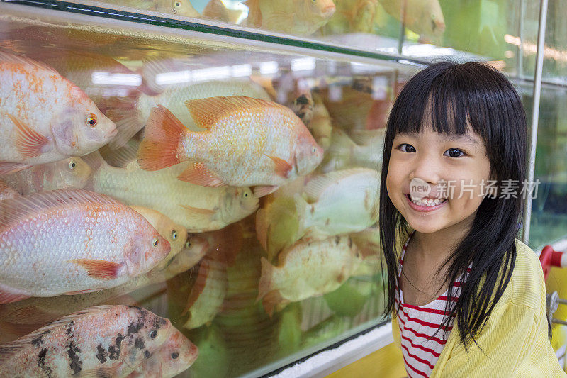 亚洲小中国女孩看鱼