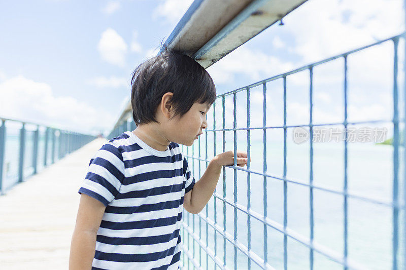 日本男孩欣赏桥景