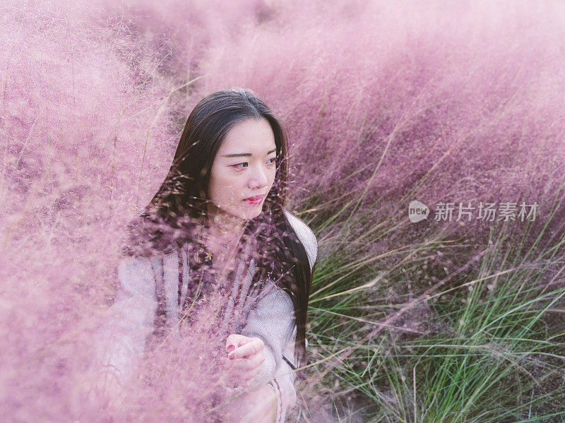 一幅美丽的年轻中国妇女的肖像，穿着白色的毛衣，坐在粉红色的多毛的田野里。