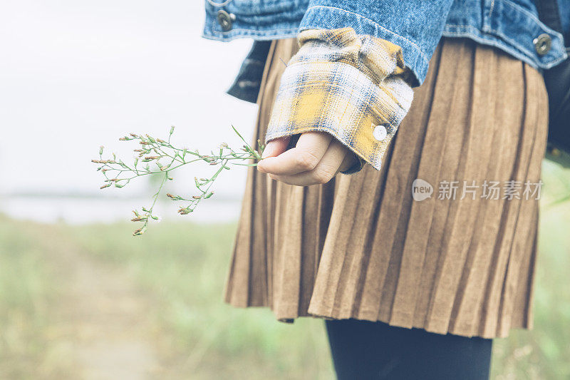 裁剪图像的女人手拿着一个小植物