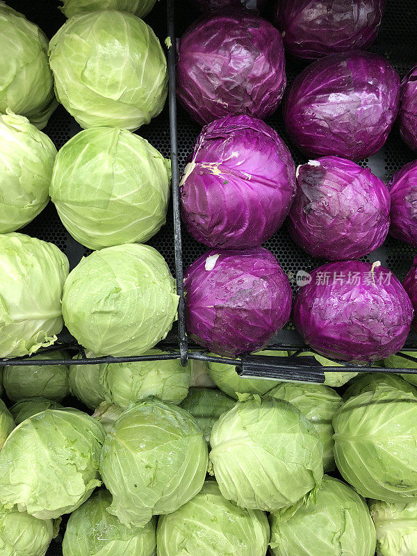 紫色和绿色的卷心菜