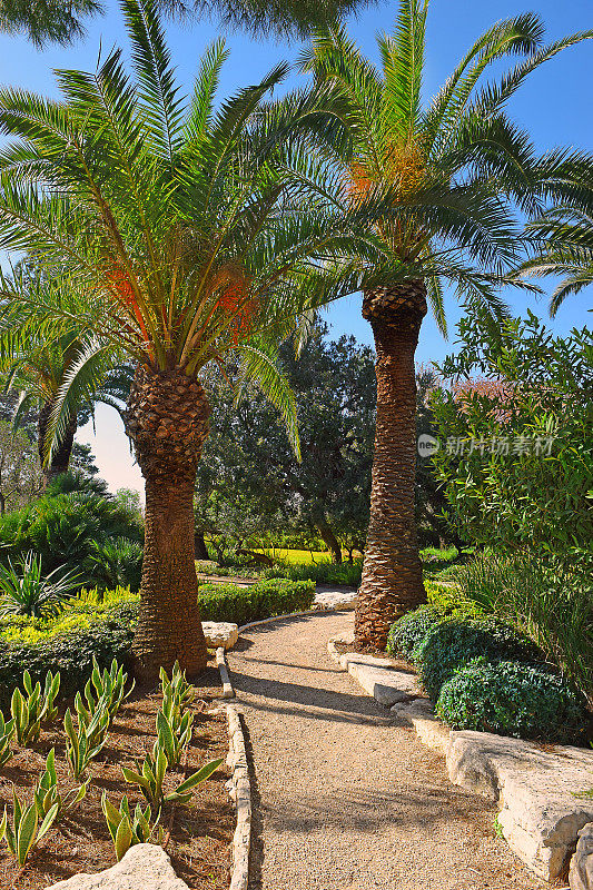 以色列拉马特哈纳季夫公园风景如画的一角