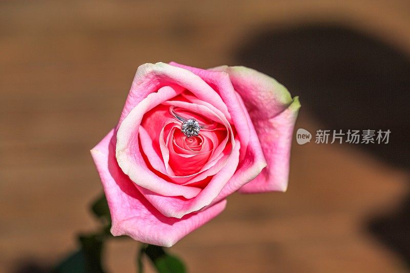粉色玫瑰的订婚戒指