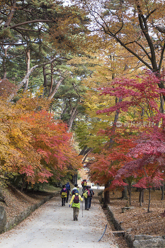 枫叶,海印寺,伽倻山国立公园,韩国
