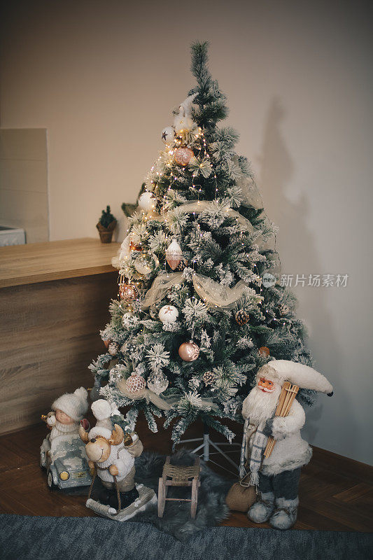 圣诞树和圣诞节装饰