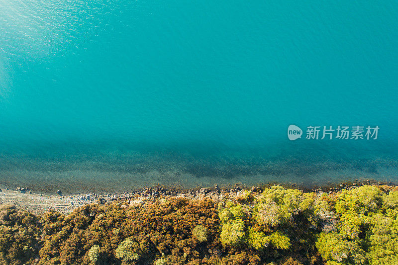 鸟瞰图的湖泊旁边的原生灌木。