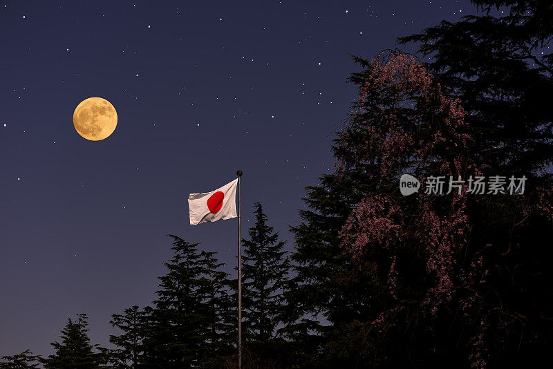 满月升起的日本国旗和哭泣的樱桃树