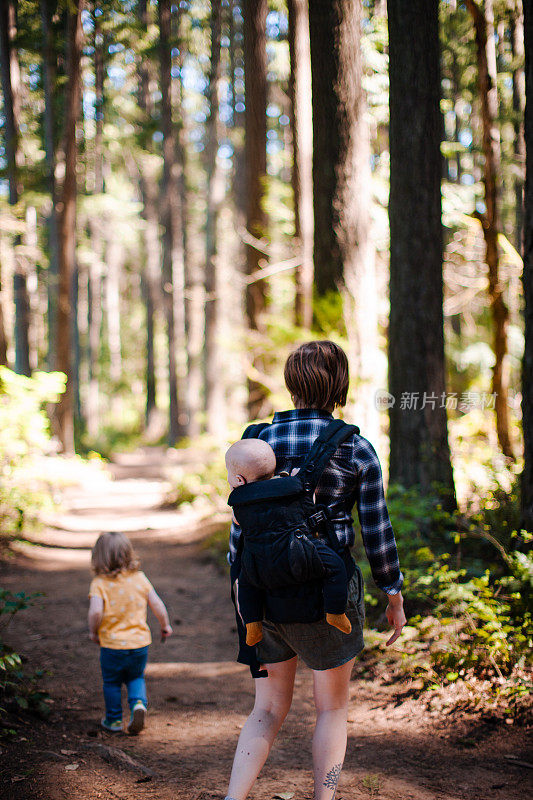 一位母亲带着两个孩子在华盛顿的森林里徒步旅行