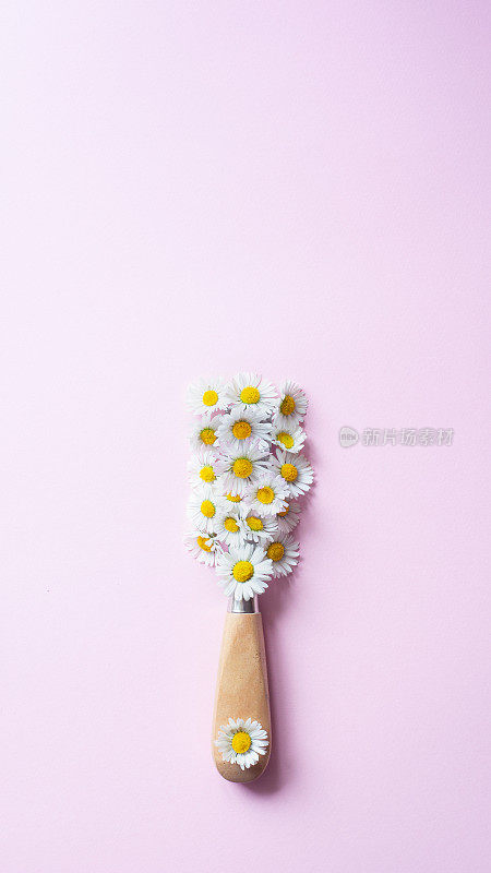 白色花朵和浅粉色背景上的画笔的创意布局