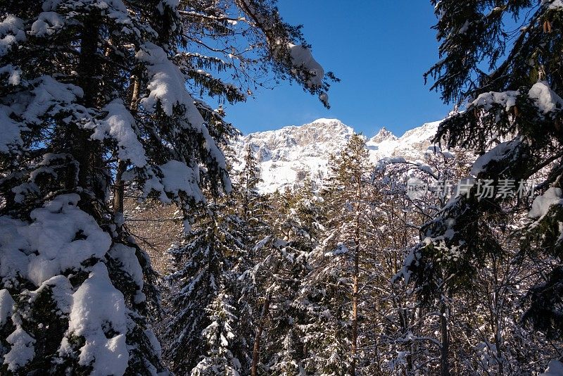 越野滑雪