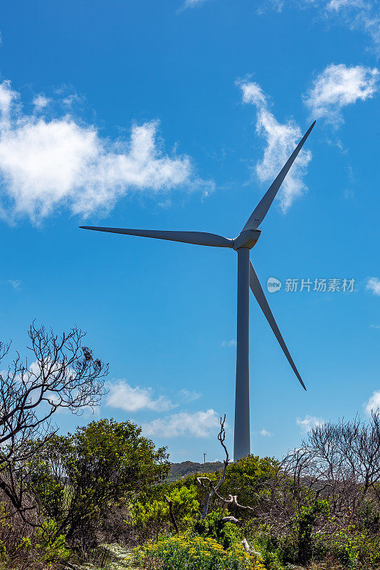 海岸风力发电场