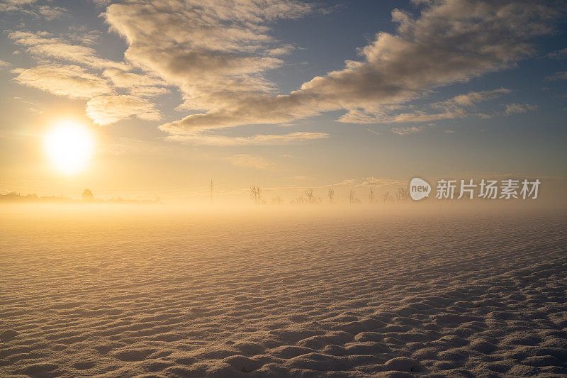 阳光明媚的早晨，白雪覆盖的田野