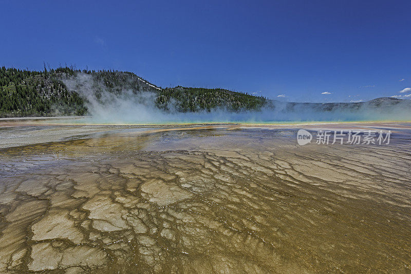 大棱镜泉，中途间歇泉盆地，黄石国家公园，怀俄明州。展示了温泉和水，五颜六色的细菌使梯田呈现出棕色。
