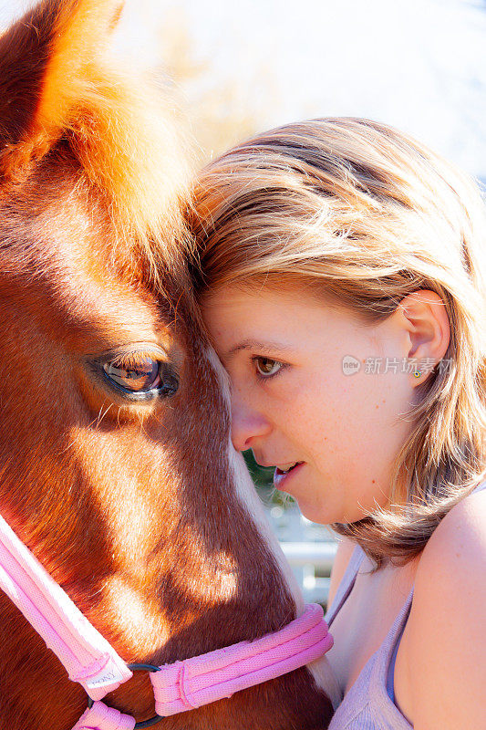 漂亮的十几岁的女孩和她的栗色小马分享亲密和爱的情感时刻。