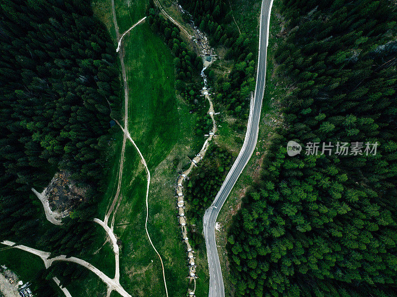 森林中蜿蜒道路的鸟瞰图