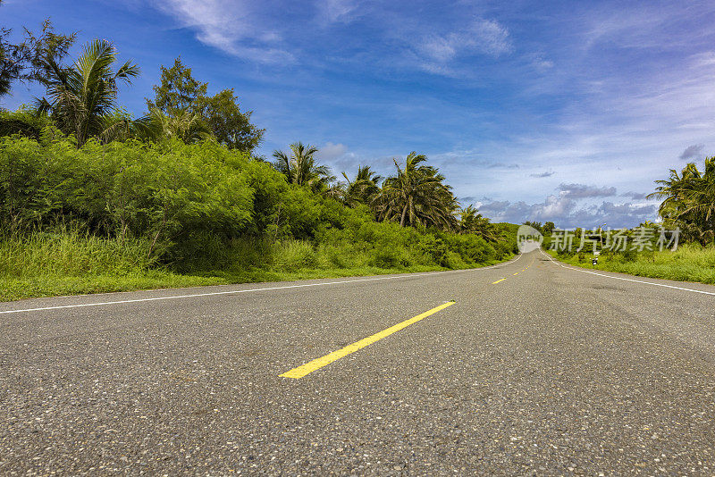 蜿蜒的海岸公路