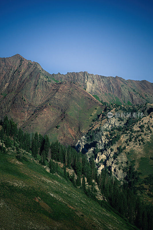 犹他州山，康尼菲尔。