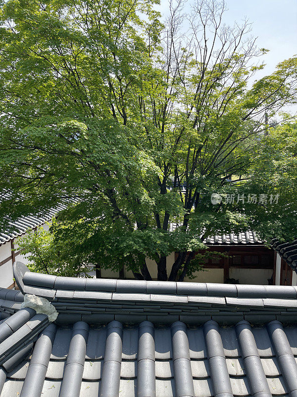 韩国传统的韩屋屋顶