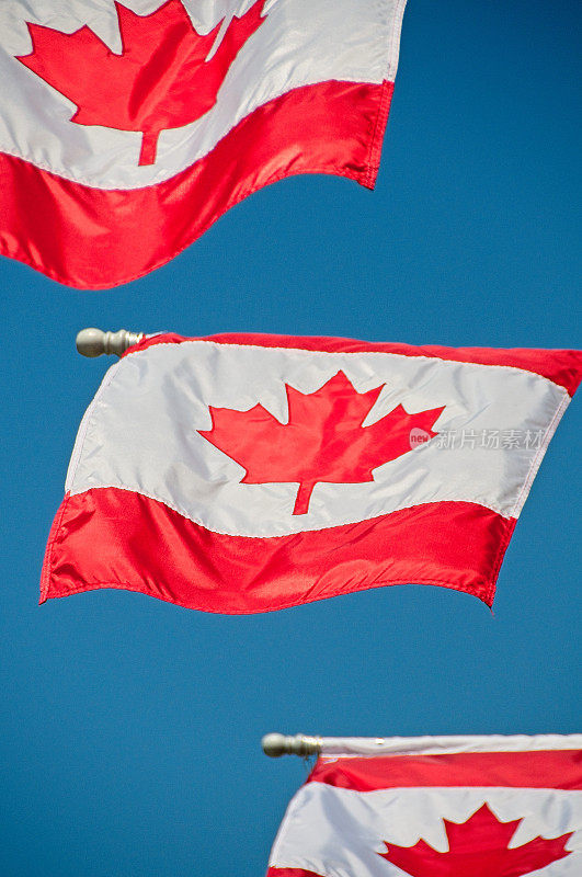 蔚蓝天空下的加拿大国旗