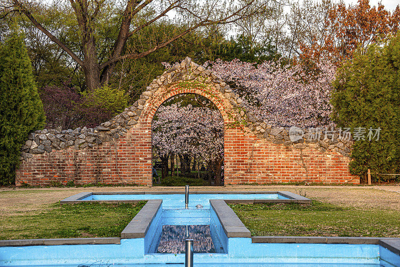 喷泉池，樱花园入口