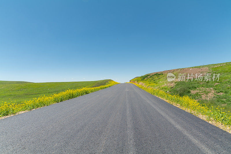 穿越草原的道路