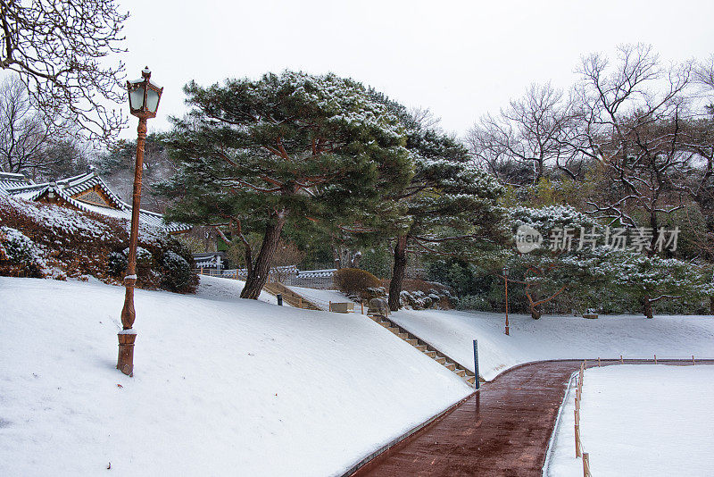 首尔的下雪天