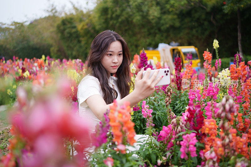 年轻女子在给花拍照