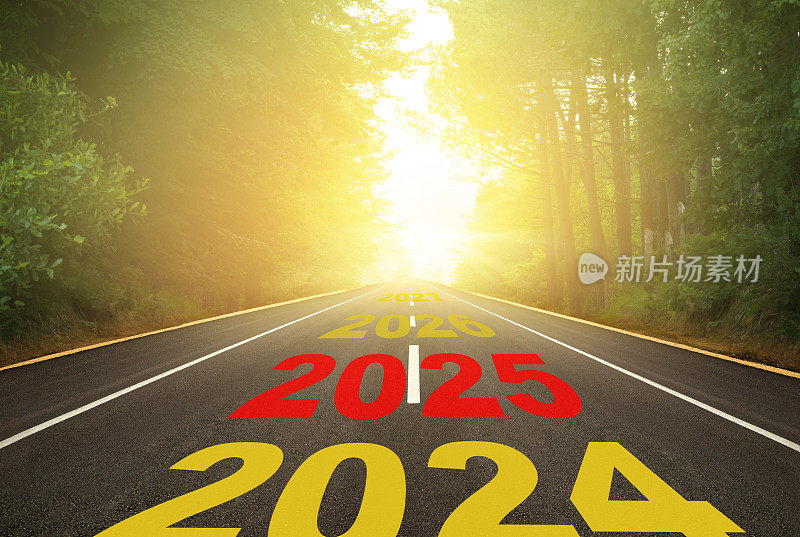 数字2025写在森林的道路上
