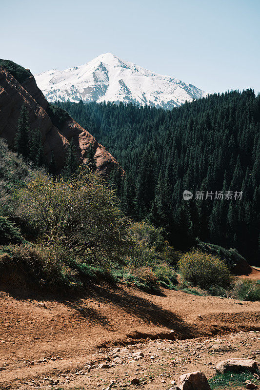 山区地形的特点是云杉林与红色岩石形成鲜明对比