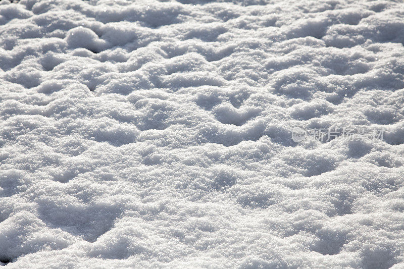 以白雪为背景的冬季景观