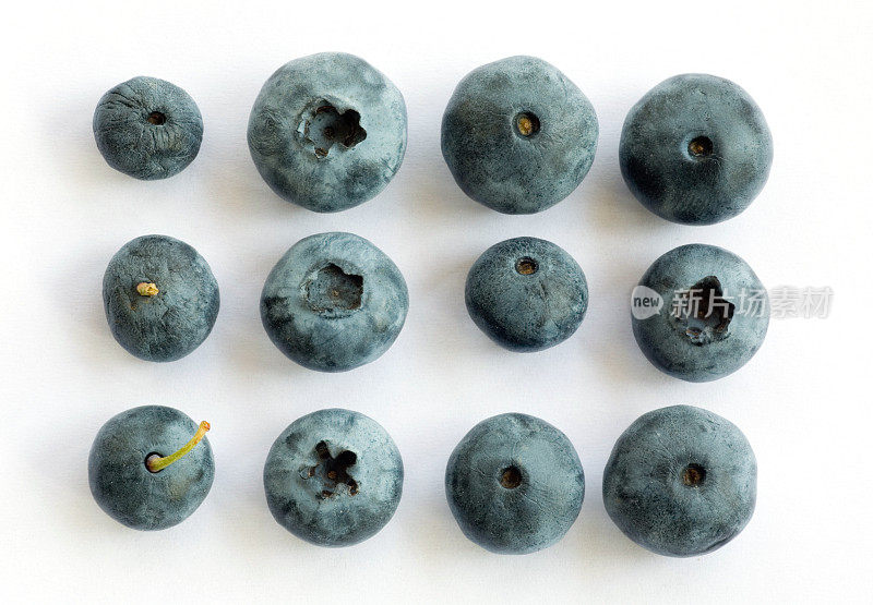 一组蓝莓设计三排