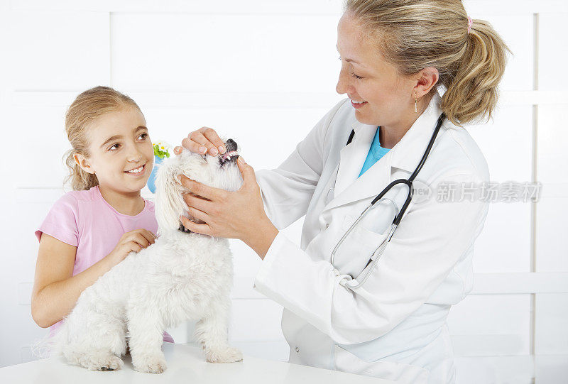 女兽医检查小女孩的狗