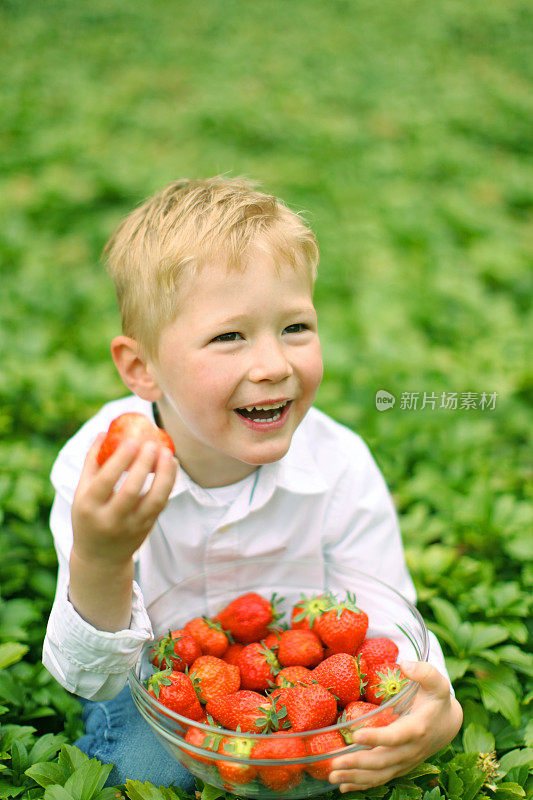 快乐的男孩在花园里拿着一碗新鲜的草莓