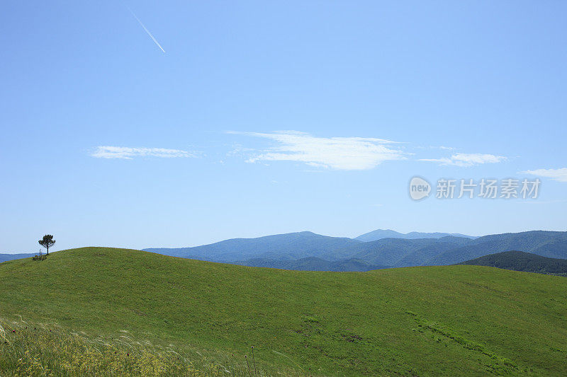 山野草甸春景