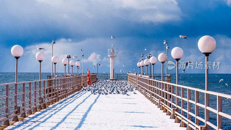 大海和蓝天。海鸟坐在码头上。冬天的海滩。冬天的场景