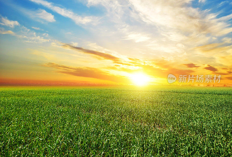 日落，日出，太阳越过农村的麦田