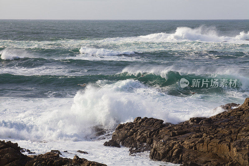 岩石上的绿浪