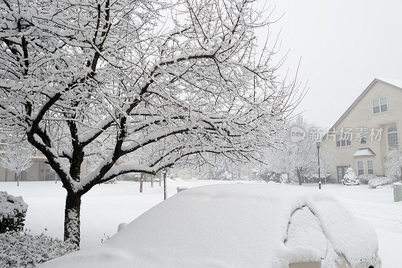 邻居在暴风雪