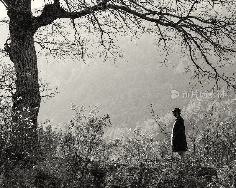 一个孤独的人站在秋天的树旁