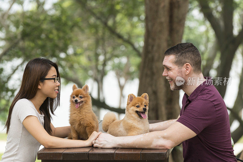 快乐的混血夫妇和博美犬