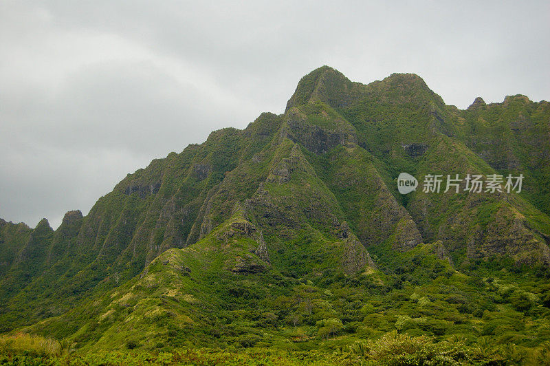 热带雨林山顶-热带夏威夷