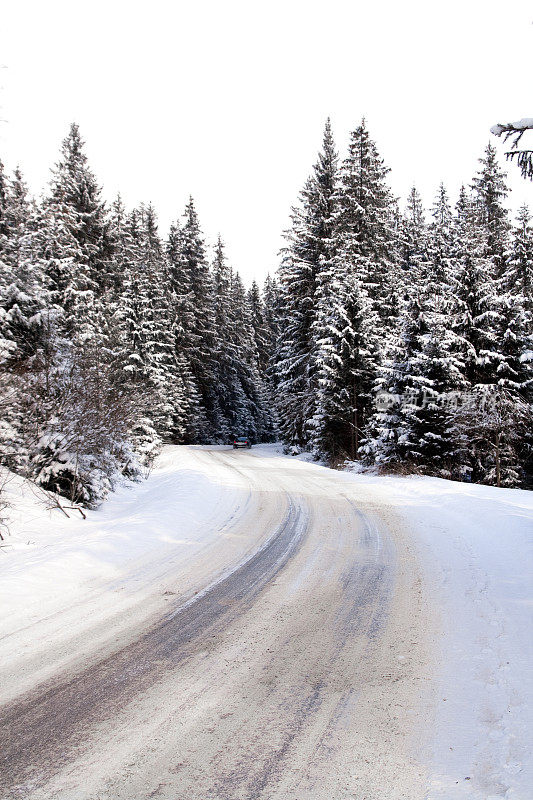 下雪的森林道路