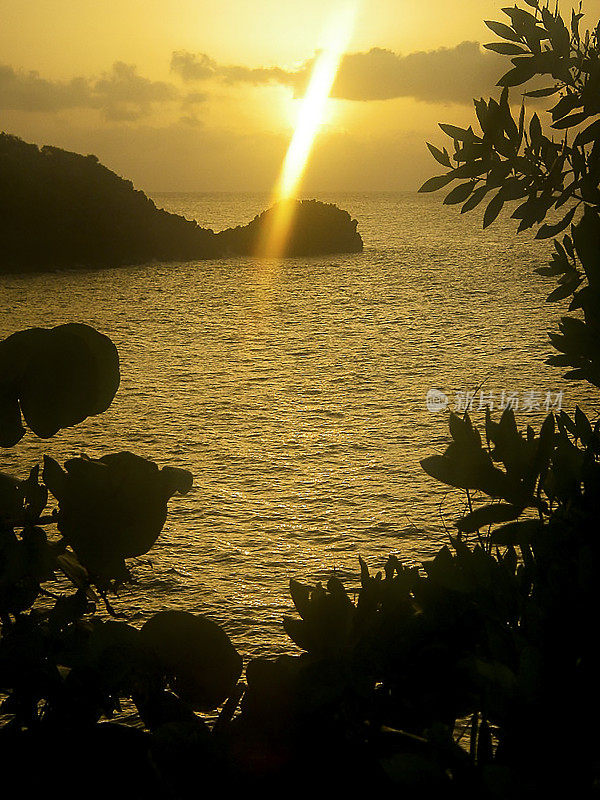 加勒比海上的日落，帕亚湾，罗阿坦湾群岛，洪都拉斯