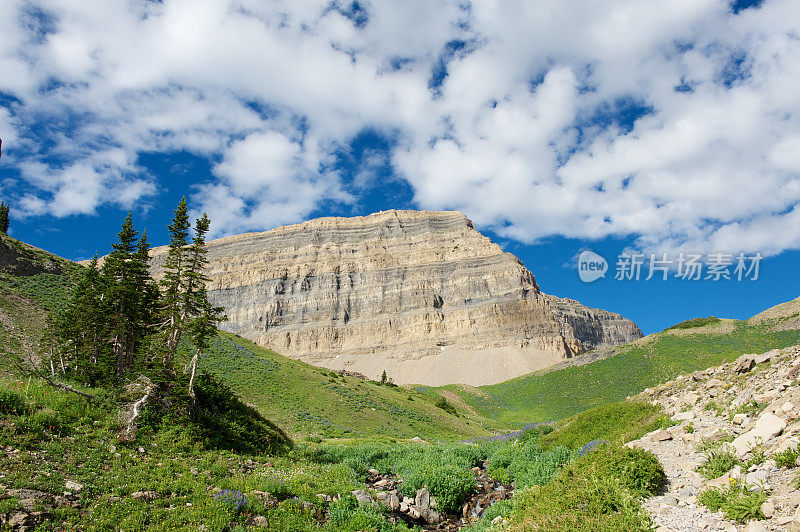 美国犹他州廷帕诺戈斯山